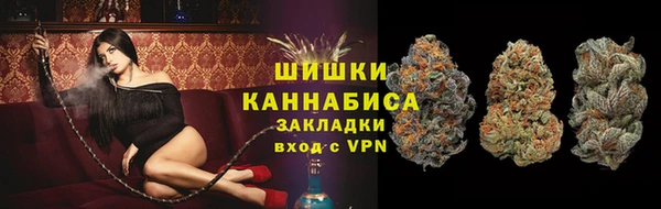 ГАЛЛЮЦИНОГЕННЫЕ ГРИБЫ Аркадак