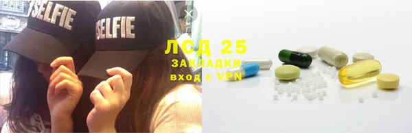ГАЛЛЮЦИНОГЕННЫЕ ГРИБЫ Аркадак