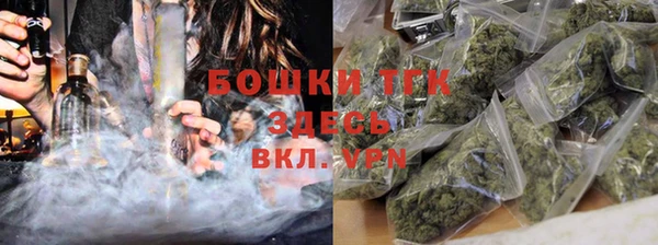 ГАЛЛЮЦИНОГЕННЫЕ ГРИБЫ Аркадак